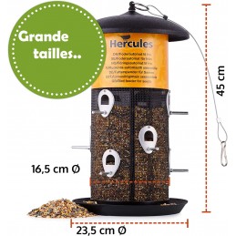 Mangeoire Oiseaux Exterieur 23cm - Distributeur Graines, Imperméable - pour  Oiseaux Sauvages - Cdiscount
